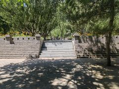 -将府公园