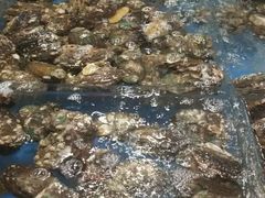 砂锅鲍鱼仔-徐记海鲜(梅溪新天地店)