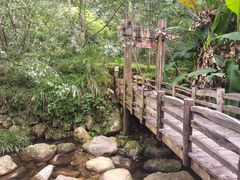 -雁南飞茶田景区