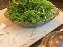 活体有机豆苗-捞神煲汤火锅(湖滨商业街店)