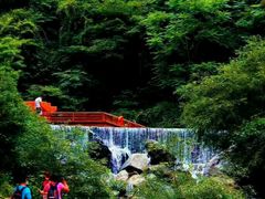 -少华山国家森林公园