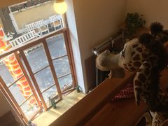 -长颈鹿咖啡(大学路店)