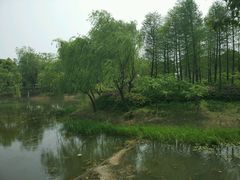 -尚贤河湿地