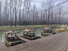 -合肥滨湖国家森林公园