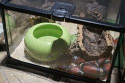 点击看大图 -酷嗒动物文化乐园(cutezoo西溪乐天城店)