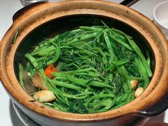 虾酱嗜通心菜-煲煲好(朝阳门店)