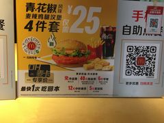 -麦当劳(衡阳中心汽车站店)