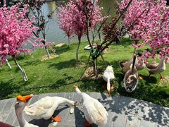 -木兰水镇旅游景区