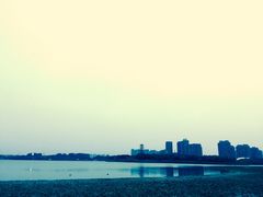 -暨阳湖生态园