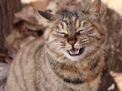 -终南山南五台景区