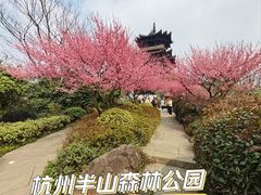 -杭州半山国家森林公园