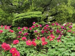 -中山公园