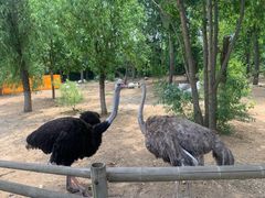 -大连森林动物园