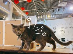 -小时光咖啡馆(开森度假森林店)