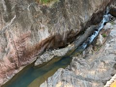 -广州白江湖森林公园