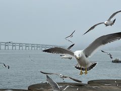 -金沙滩度假村