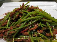 -石头咕(葵蓬店)