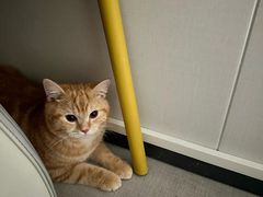 -荔康动物医院(康王北路店)