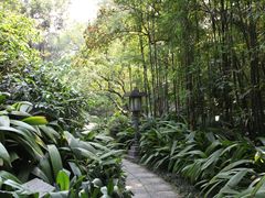 -广州兰圃