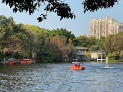 -荔湾湖公园