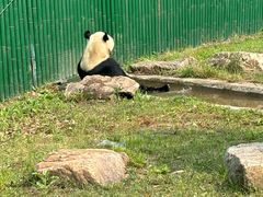 -沈阳森林动物园
