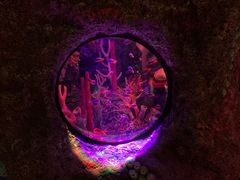 -沈阳海洋探索中心