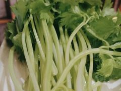 -巴奴毛肚火锅(商城路店)