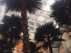 -威斯汀舞台餐厅