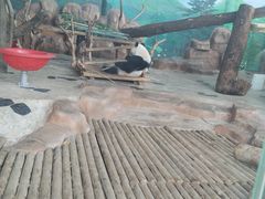 -南宁市动物园