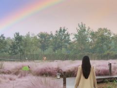 -南京市无想山景区