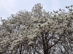 -睦南公园