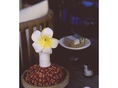 -泰·菩提树下[泰式按摩x精油SPAx肩颈头疗](新景店)