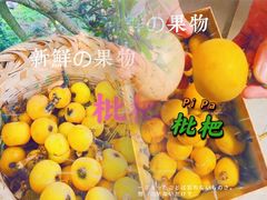 -东山风景区(洞庭东山)