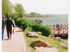 -丁香湖公园