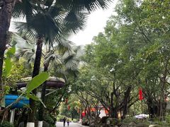 -南宁市动物园