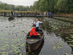 -溱湖国家湿地公园