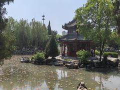 -莲池书院博物馆