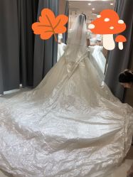 -Color卡诺婚纱礼服馆(南京严选店)