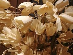-阳光家常菜(泉城路店)