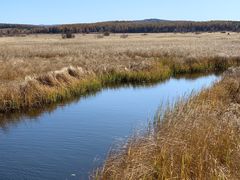 -塞罕坝国家级自然保护区