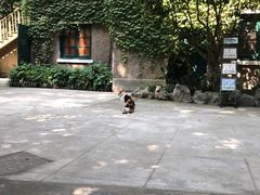 -巴金故居
