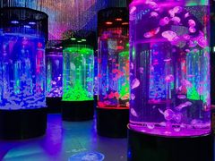 -南昌融创海世界