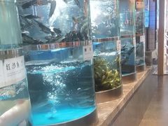 -老船舫·现做活鲜鱼馆(东郊记忆店)