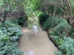-同里国家湿地公园