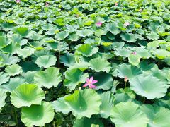 -北京天湖会议中心