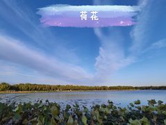 -素心小筑(后沙裕镇店)