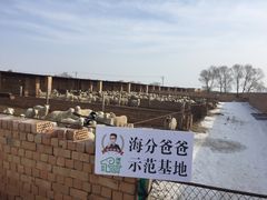 -维吾尔餐厅(宜山路店)