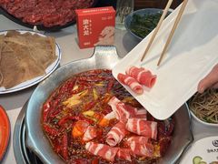 -渝大龙重庆火锅(温泉月亮湾店)
