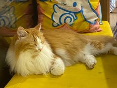 -氷冰凉刨冰甜品(北京路店)