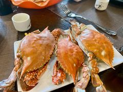 -悦巷海鲜自助铁板烧(秦皇东大街店)